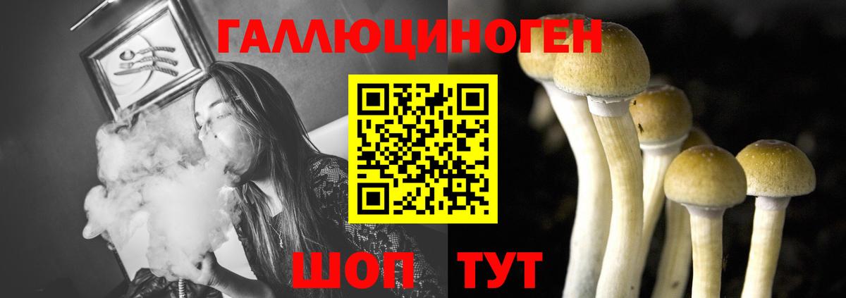 Петрозаводск  магазин    Вход с VPN  Галлюциногенные грибы Psilocybine cubensis 